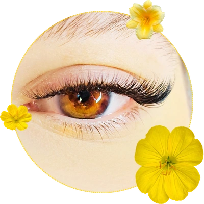 Eyelash Extension